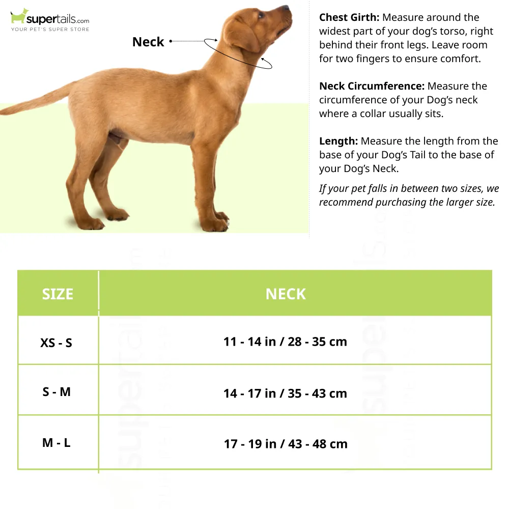 Trixie Premium Extra Wide Neoprene Padded Collar for Dogs (Camouflage/Forest Green)