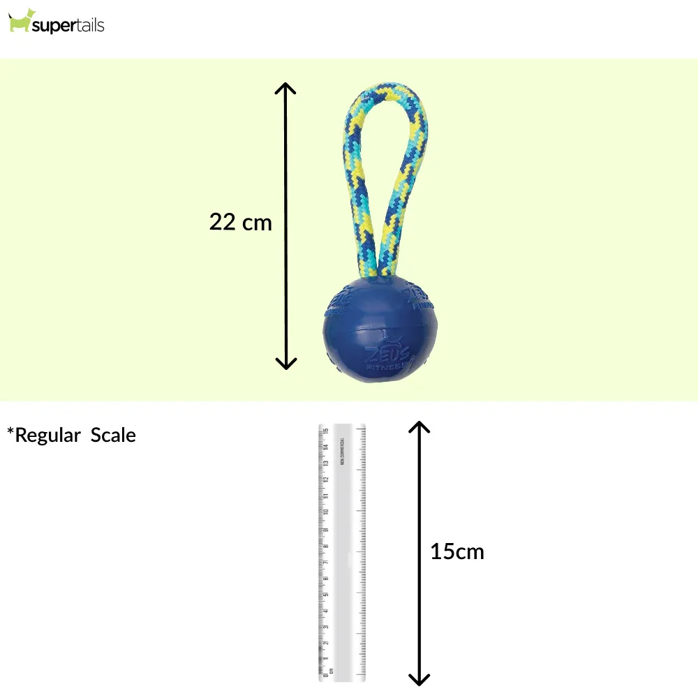 Zeus Rope Ball Tug with Single Hand Loops Toy for Dogs (Blue)