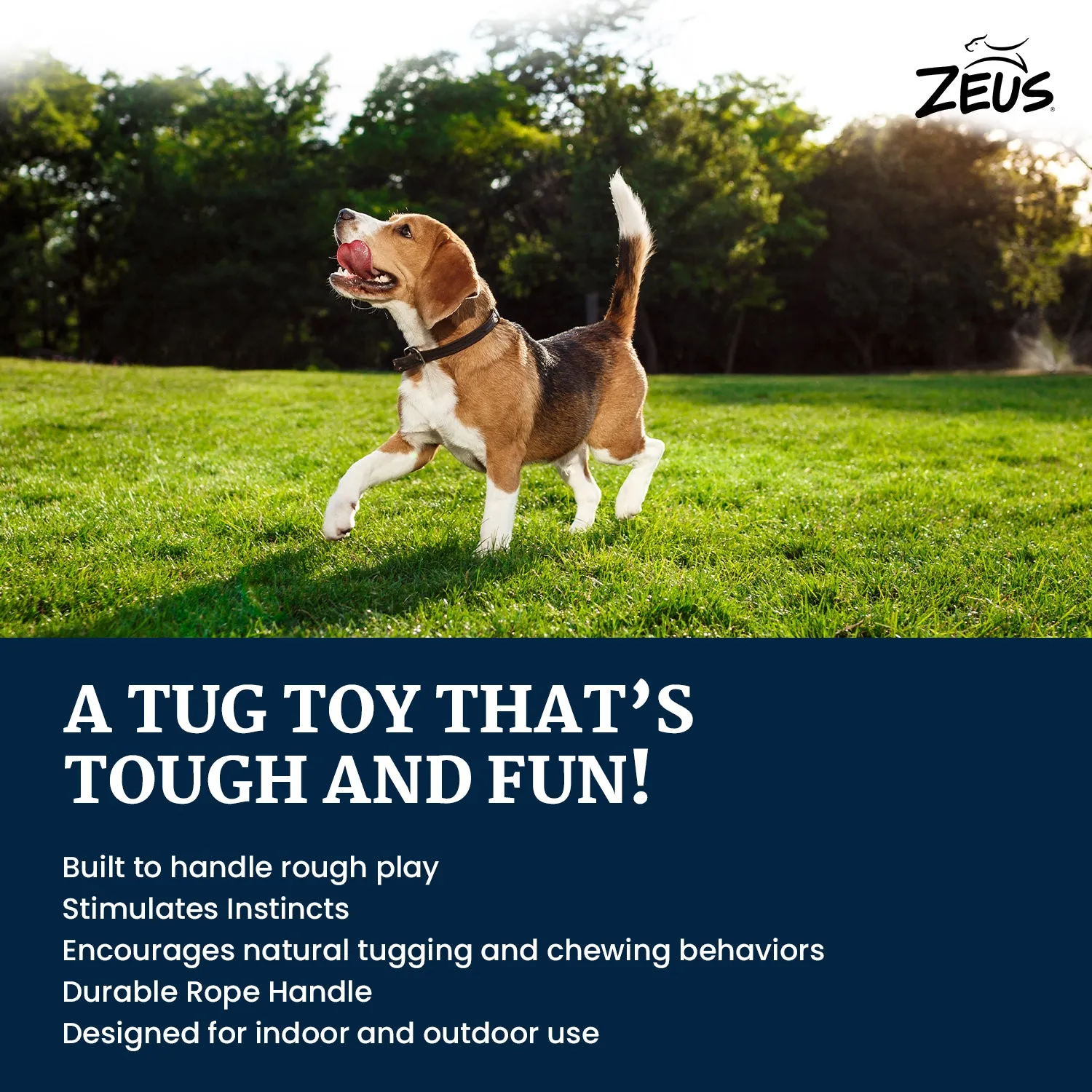 Zeus Rope Ball Tug with Single Hand Loops Toy for Dogs (Blue)