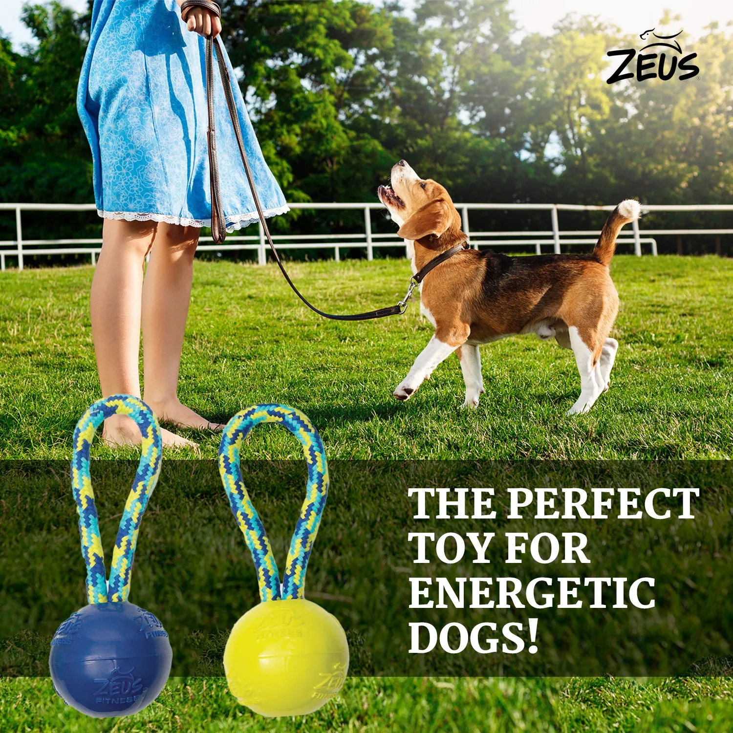 Zeus Rope Ball Tug with Single Hand Loops Toy for Dogs (Blue)