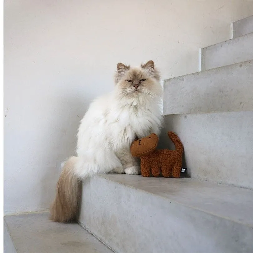 ZOEY - Refillable cat kicking cushion 15x5x12cm brown Pets Qatar