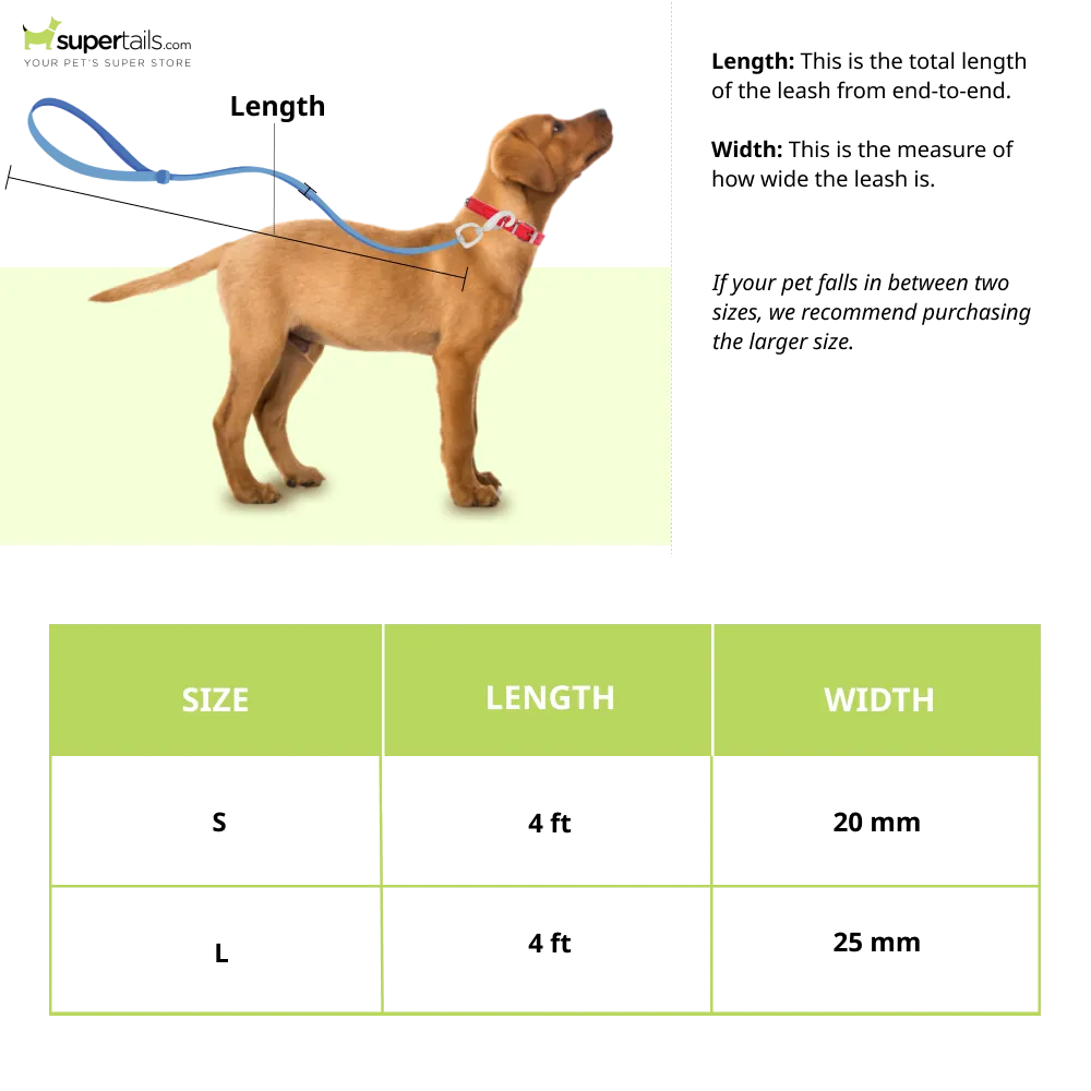Zoomiez Solar Printed Leash for Dogs